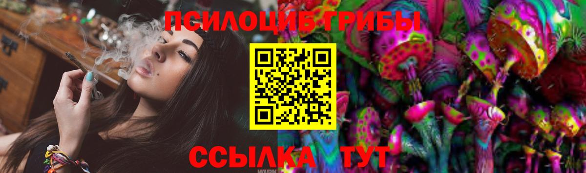 Псилоцибиновые грибы GOLDEN TEACHER  Вход с VPN  Карталы 